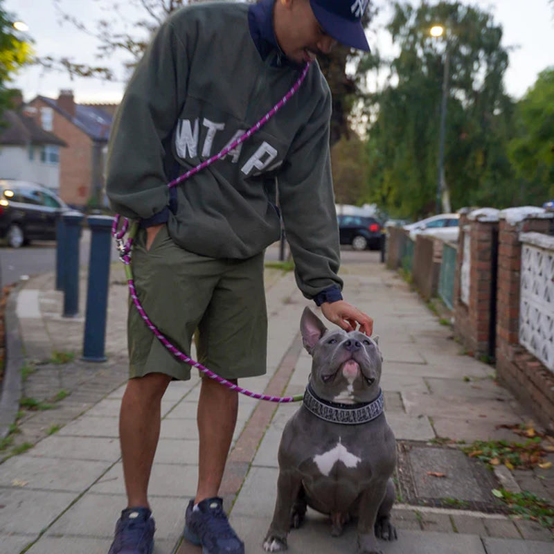 Hands Free Pet Dog Leash