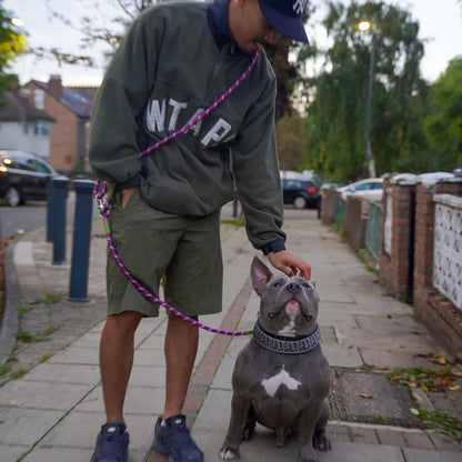 Hands Free Pet Dog Leash