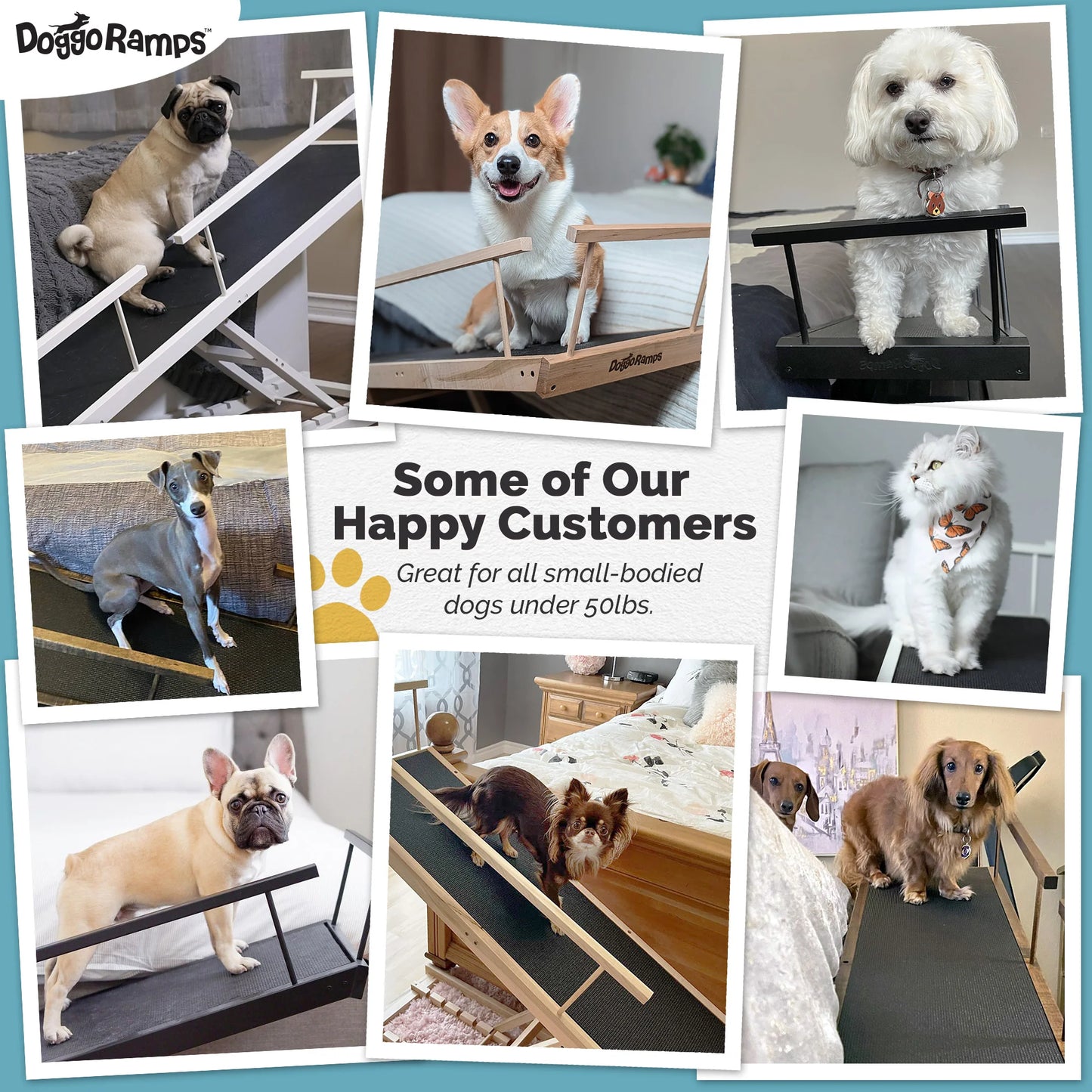 Small Dog Ramp for Bed