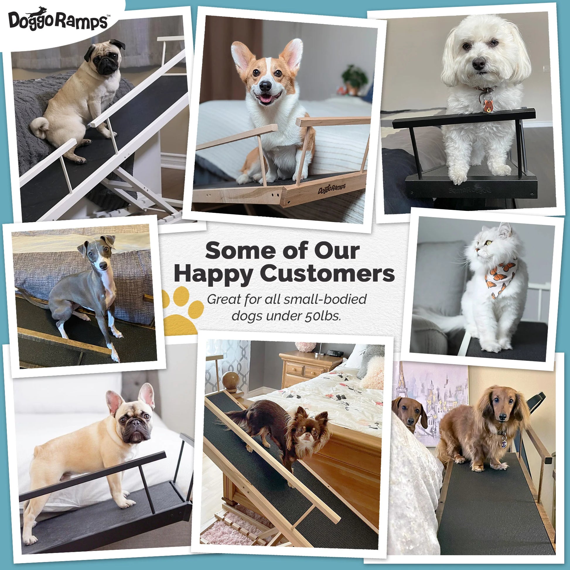 Small Dog Ramp for Bed