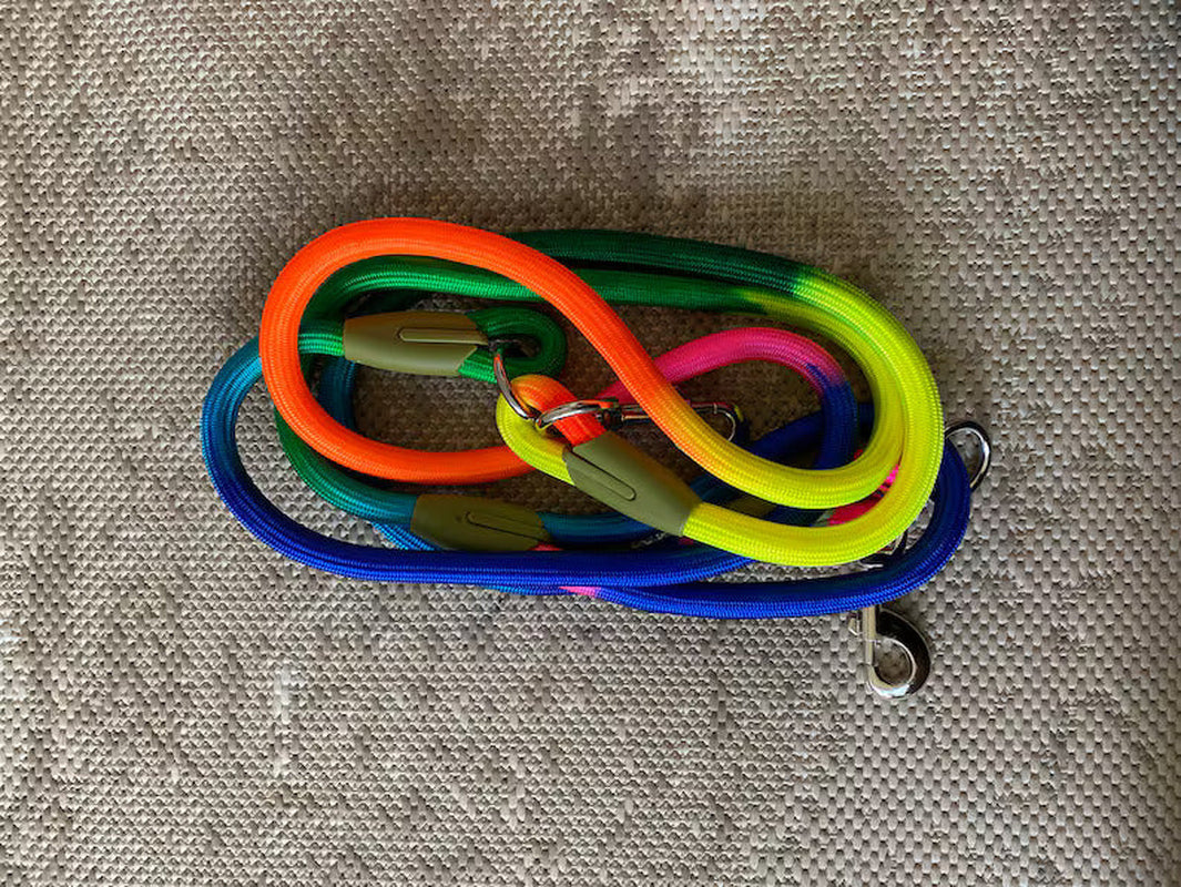 Hands Free Pet Dog Leash