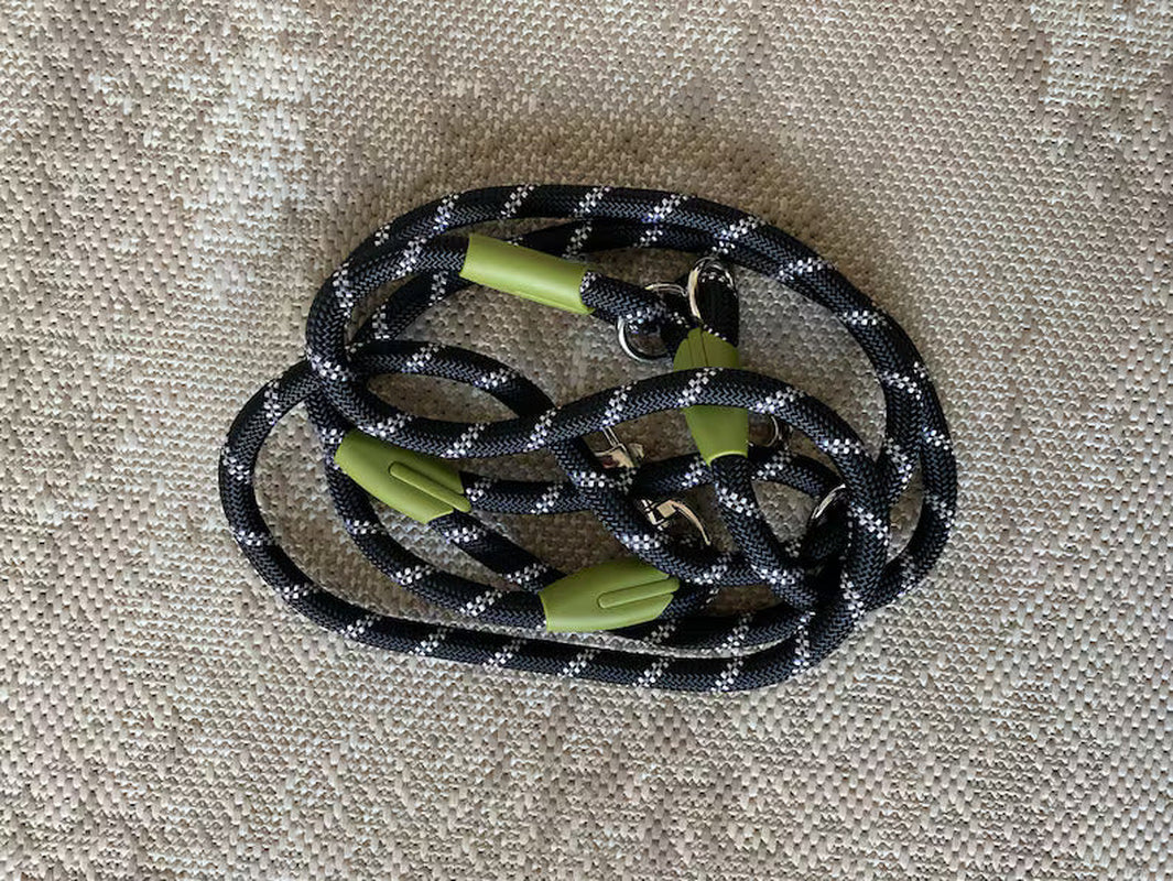 Hands Free Pet Dog Leash