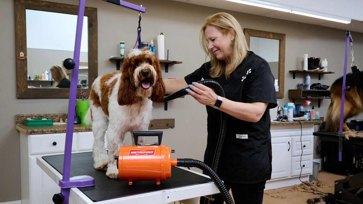 Air Force® Commander® Variable Speed Pet Dryer