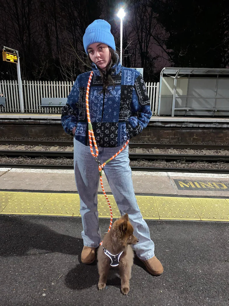 Hands Free Pet Dog Leash