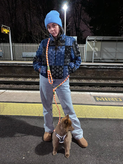 Hands Free Pet Dog Leash