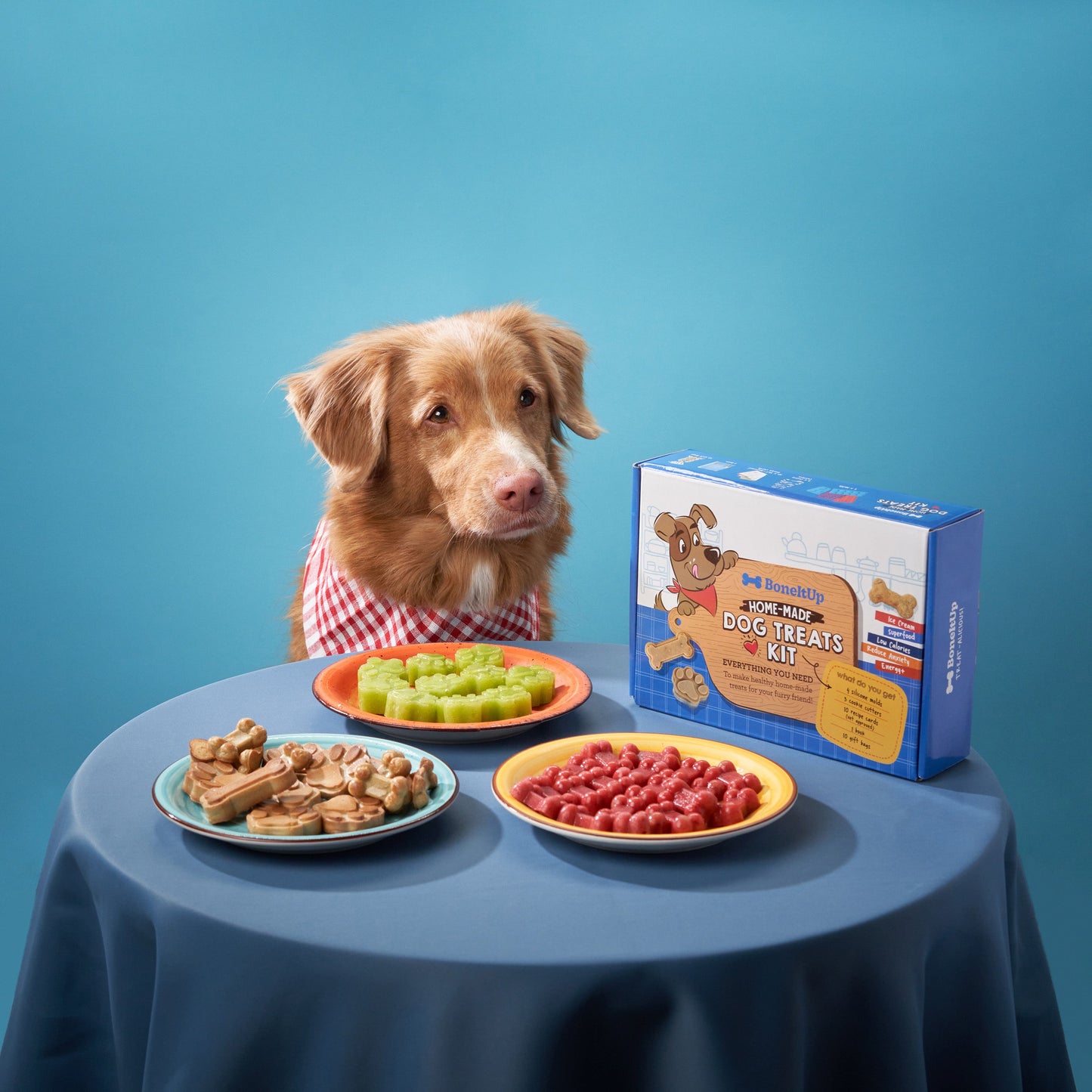 ® Homemade Dog Treats Kit