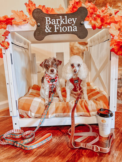 Dog Four Piece Bundle - Teddy