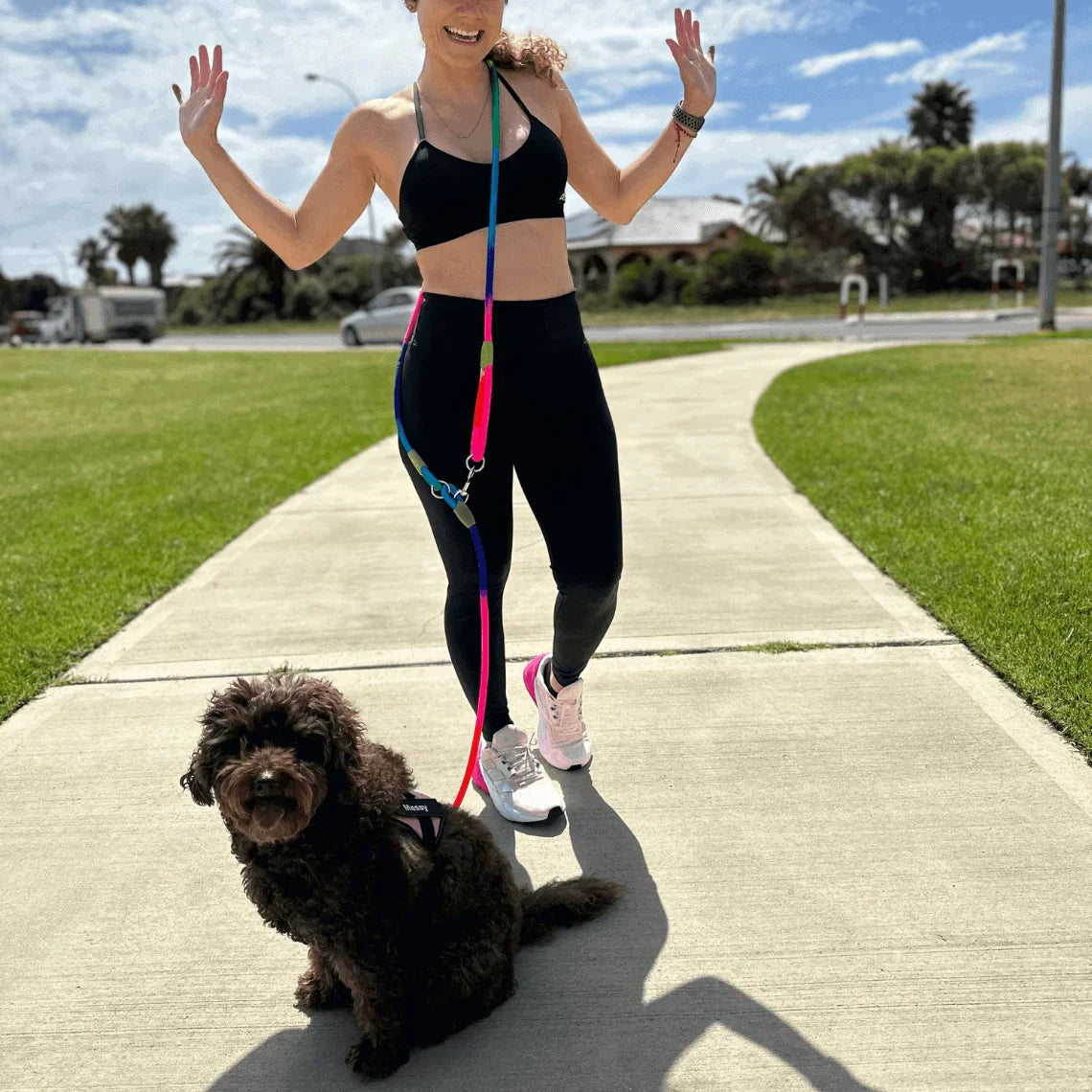 Hands Free Pet Dog Leash